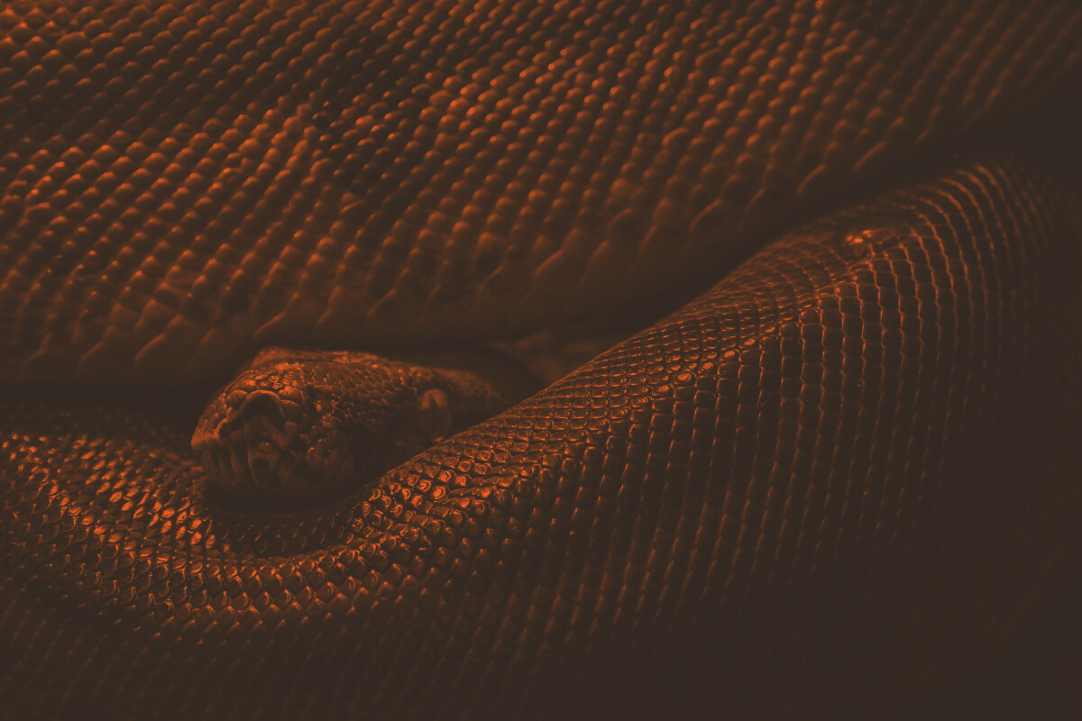 Complexity is the Enemy of Innovation – Meet Smithy’s New Python SDK